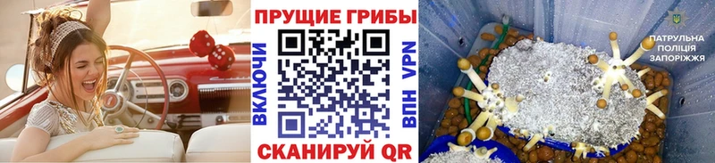 Галлюциногенные грибы прущие грибы  Никольск 